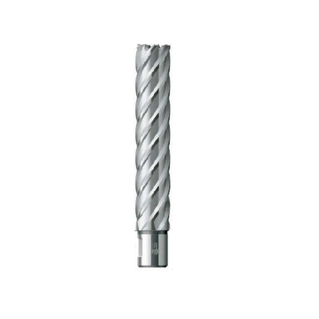Vendita online Fresa extra lunga a corona in acciaio HSS KEL Weldon 19 mm.